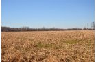 Tract 1 - 339+/- Acres Offered in 10 Tracts
